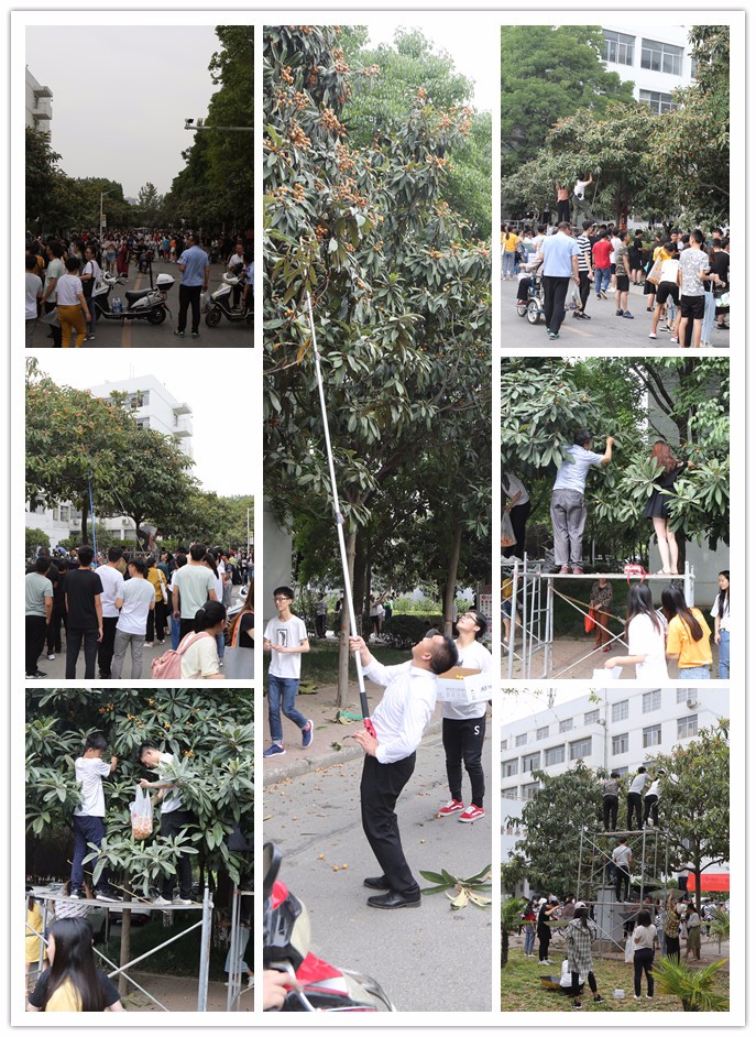 initpintu_副本2.jpg initpintu_副本2.jpg