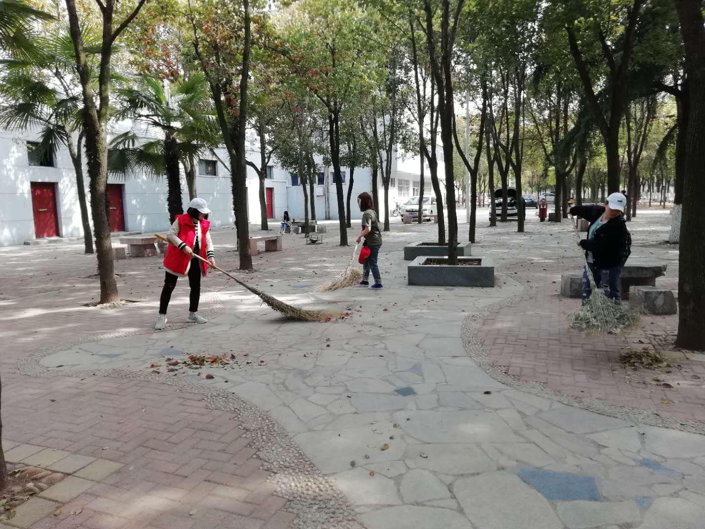 图片2.jpg 图片2.jpg
