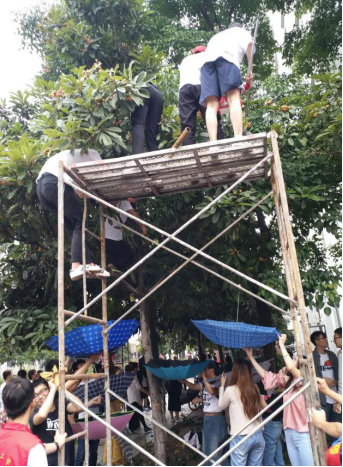 20180525南阳理工学院举办第五届校园枇杷采摘节472.png
