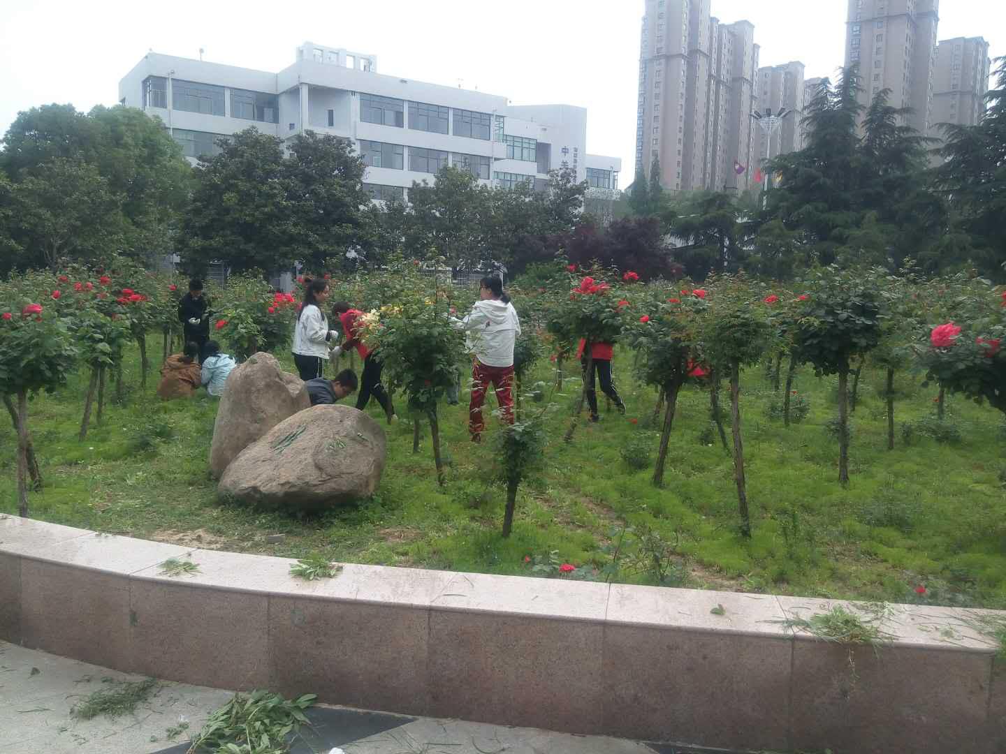 图片7.jpg 图片7.jpg