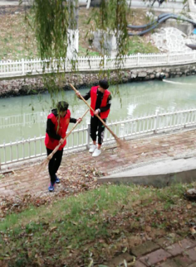 美化校园环境,共建和谐校园304.png